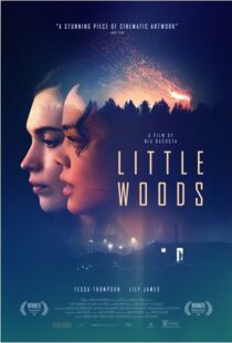 دانلود فیلم Little Woods 201822292-2045412381