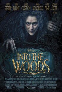 دانلود فیلم Into the Woods 20143675-107173003