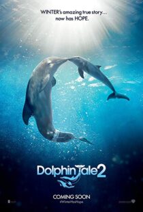 دانلود فیلم Dolphin Tale 2 201421312-2025277281