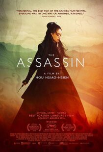 دانلود فیلم The Assassin 201513760-916768244