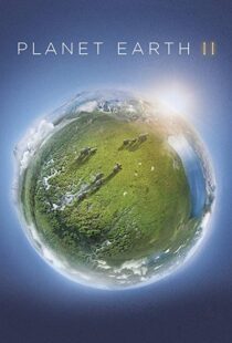 دانلود مستند Planet Earth II58204-1348692540