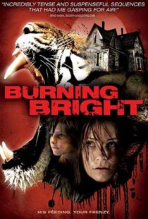 دانلود فیلم Burning Bright 201049964-1194491907