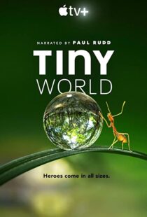 دانلود مستند Tiny World52124-1583656354