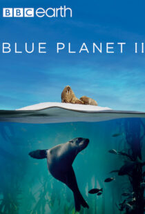 دانلود مستند Blue Planet II100194-620235909