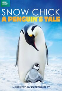 دانلود مستند Snow Chick: A Penguin’s Tale 2015109604-107759961