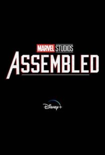 دانلود سریال Marvel Studios: Assembled100150-793146064