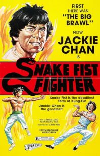 دانلود فیلم Snake Fist Fighter 1973388650-1020137148