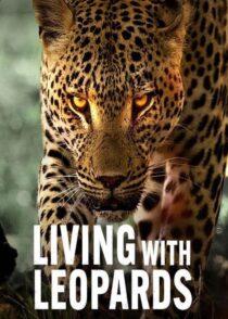 دانلود مستند Living with Leopards 2024400477-1033057675