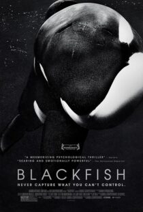 دانلود فیلم Blackfish 2013412328-807146197