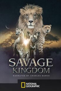 دانلود سریال Savage Kingdom412853-524611362